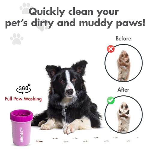 Dexas Blue Large Dog Paw Cleaner for Dogs - Premium Quality Pet Supplies and Dog Accessories - Easy to Use and Clean, Mess Free, Essential Dog Product