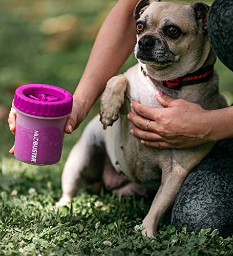 Dexas Blue Large Dog Paw Cleaner for Dogs - Premium Quality Pet Supplies and Dog Accessories - Easy to Use and Clean, Mess Free, Essential Dog Product