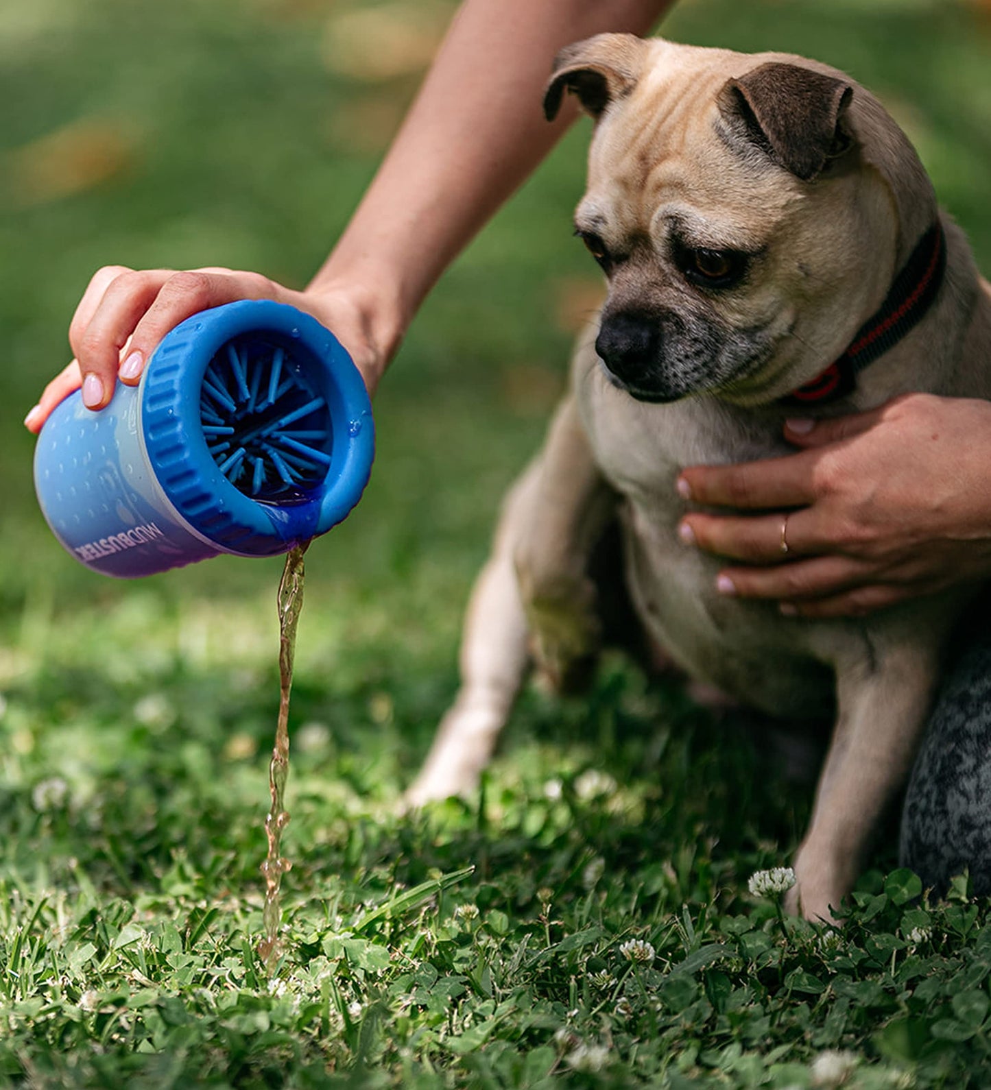 Dexas Blue Large Dog Paw Cleaner for Dogs - Premium Quality Pet Supplies and Dog Accessories - Easy to Use and Clean, Mess Free, Essential Dog Product