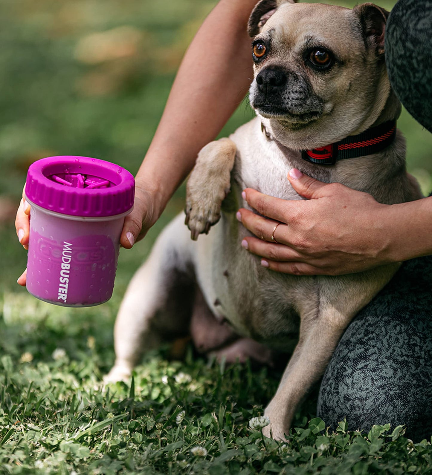 Dexas Blue Large Dog Paw Cleaner for Dogs - Premium Quality Pet Supplies and Dog Accessories - Easy to Use and Clean, Mess Free, Essential Dog Product