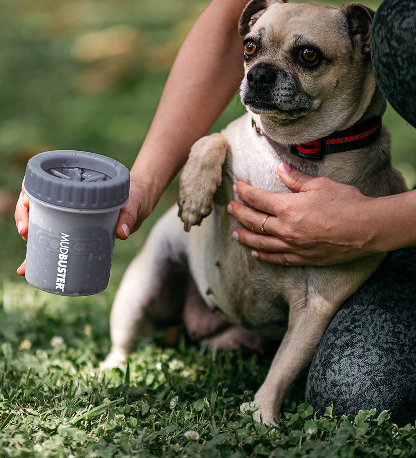 Dexas Blue Large Dog Paw Cleaner for Dogs - Premium Quality Pet Supplies and Dog Accessories - Easy to Use and Clean, Mess Free, Essential Dog Product