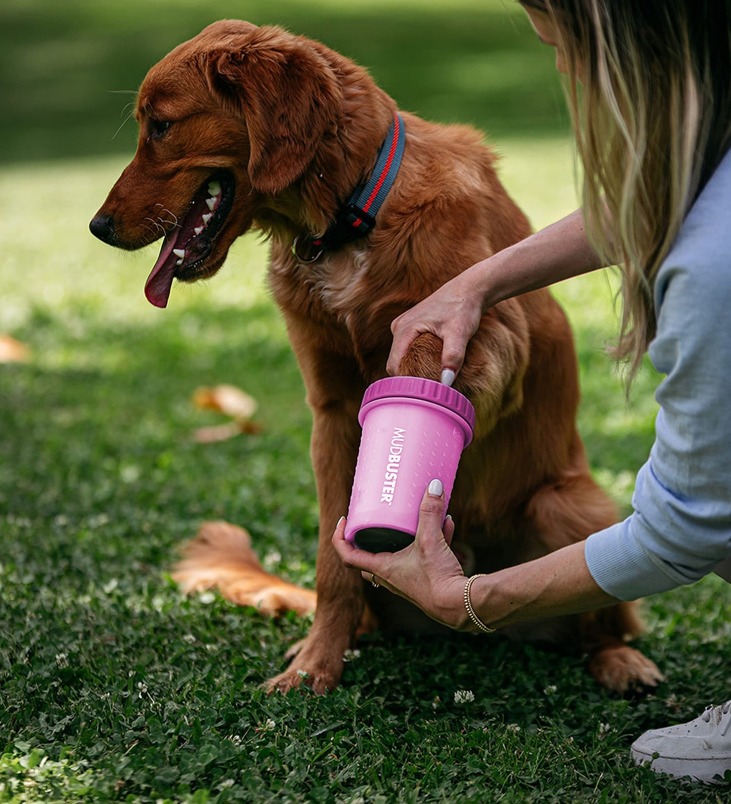 Dexas Blue Large Dog Paw Cleaner for Dogs - Premium Quality Pet Supplies and Dog Accessories - Easy to Use and Clean, Mess Free, Essential Dog Product