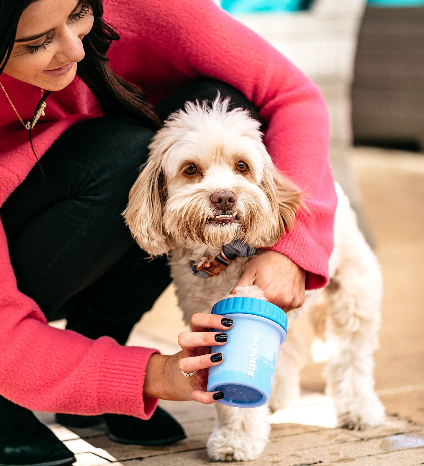 Dexas Blue Large Dog Paw Cleaner for Dogs - Premium Quality Pet Supplies and Dog Accessories - Easy to Use and Clean, Mess Free, Essential Dog Product