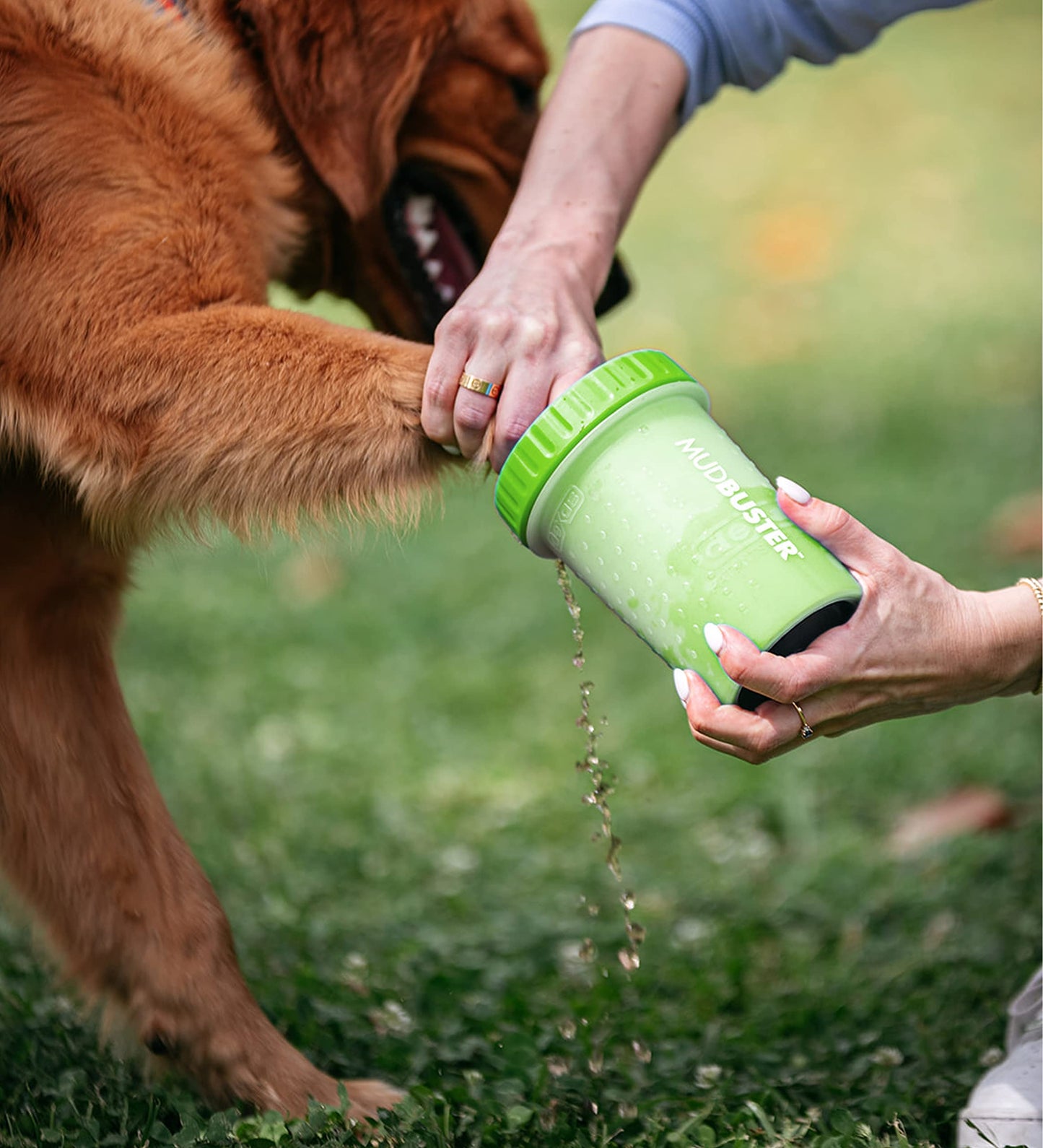 Dexas Blue Large Dog Paw Cleaner for Dogs - Premium Quality Pet Supplies and Dog Accessories - Easy to Use and Clean, Mess Free, Essential Dog Product