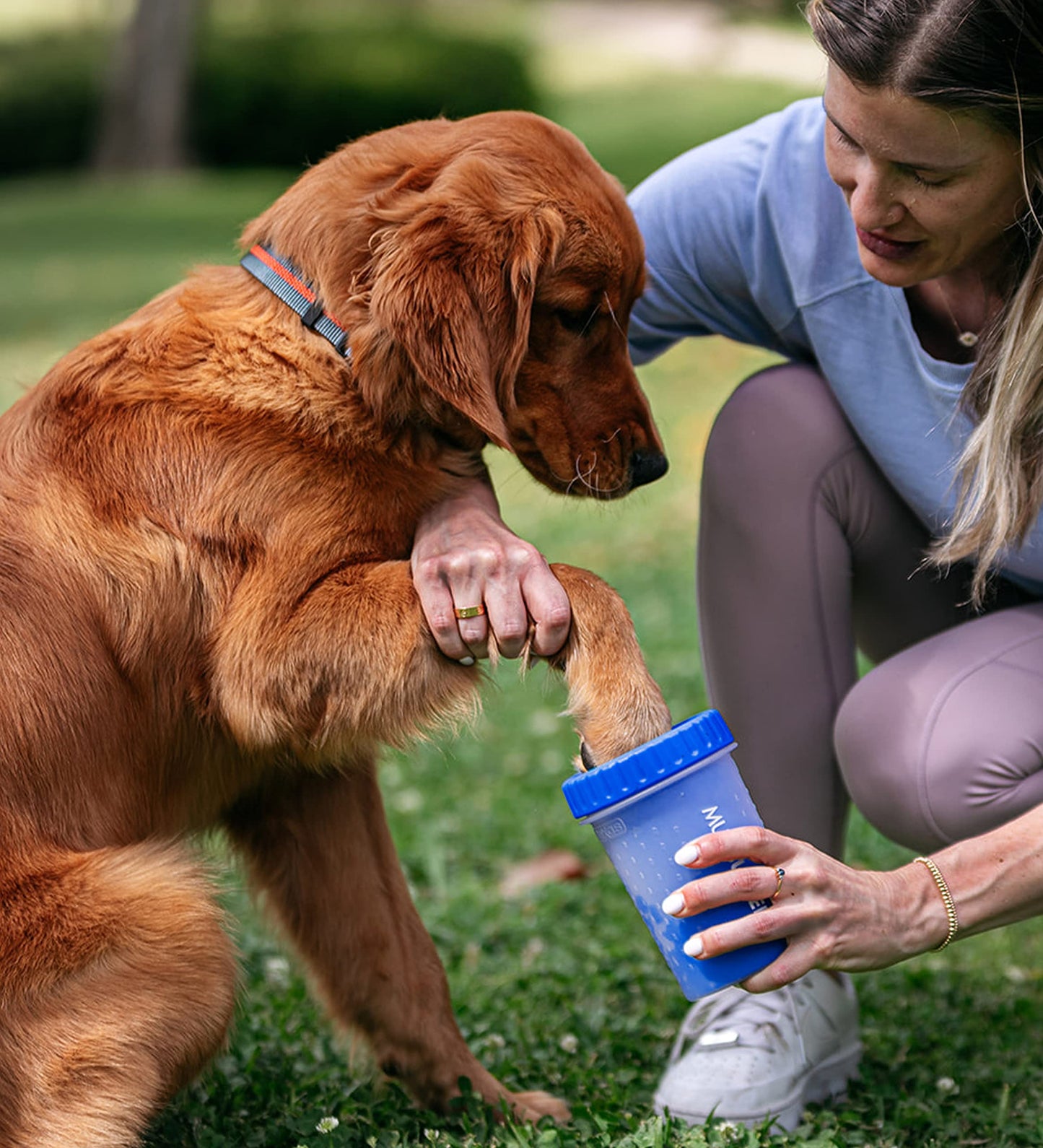 Dexas Blue Large Dog Paw Cleaner for Dogs - Premium Quality Pet Supplies and Dog Accessories - Easy to Use and Clean, Mess Free, Essential Dog Product